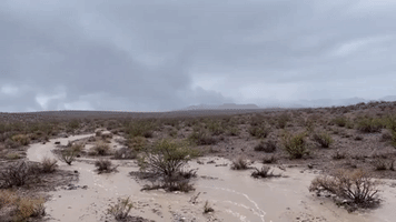 Heavy Rain Causes Flash Floods in Death Valley, Springs Streams in Surrounding Areas