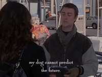 season 6 netflix GIF by Gilmore Girls 