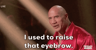 The Rock Wwe GIF by E!