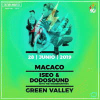 macaco culturainquieta GIF by Wegow