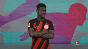 Eintracht Frankfurt Football GIF by Bundesliga