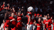 College Football Ncaa GIF by Cincinnati Bearcats
