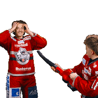 Sport Win Sticker by Eisbären Regensburg