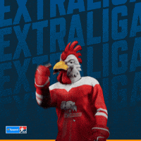 Hockey Hokej GIF by Tipsport extraliga