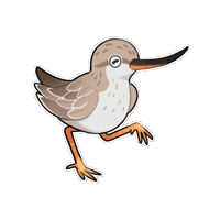Bird 鳥 Sticker