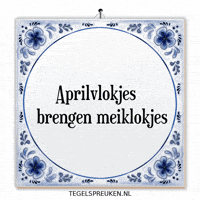 April Wijsheid GIF by Tegelspreuken.nl