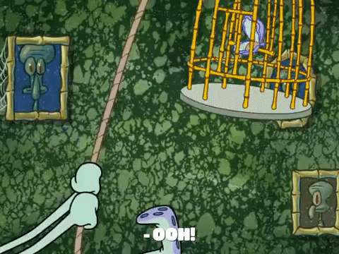 season 8 GIF by SpongeBob SquarePants