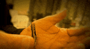Day Of The Dead Love GIF by Disturbed