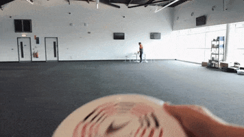 F1 GIF by McLaren