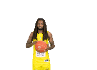 Basketball Basket Sticker by Stade Rochelais