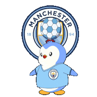 Manchester City Football Sticker by Pudgy Penguins
