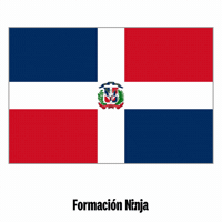 Republica Dominicana Flag GIF by Formación Ninja
