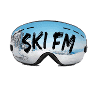 snow bluebird Sticker by SKI FM