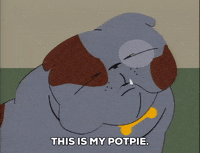 GIF by South Park 