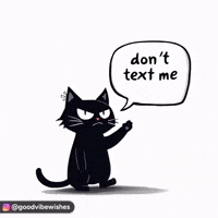 Black Cat No GIF
