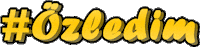 Tm Sticker by Teknomain