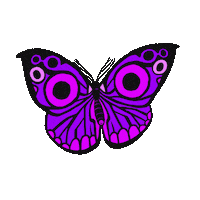 Happy Animation Sticker