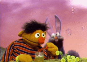 Cookie Monster Bunny GIF by Sesame Street