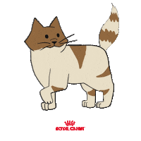 Happy Feliz Sticker by Royal Canin Brasil