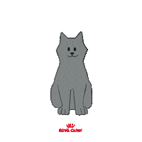 Rcbrasil Sticker by Royal Canin Brasil