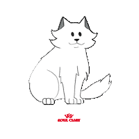 Gato Sticker by Royal Canin Brasil