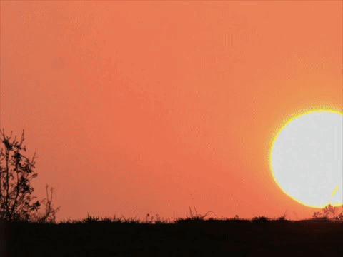 Life outside is where joy is found