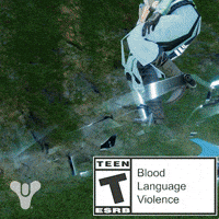 Destiny 2 GIF by DestinyTheGame
