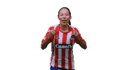 San Luis Soccer Sticker by Atlético de San Luis