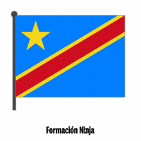Democratic Republic Of The Congo Flag GIF by Formación Ninja