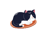lofielgor music cat sleep chill Sticker