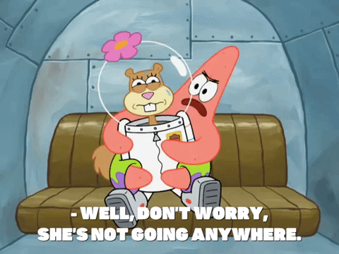 season 8 bubble troubles GIF by SpongeBob SquarePants