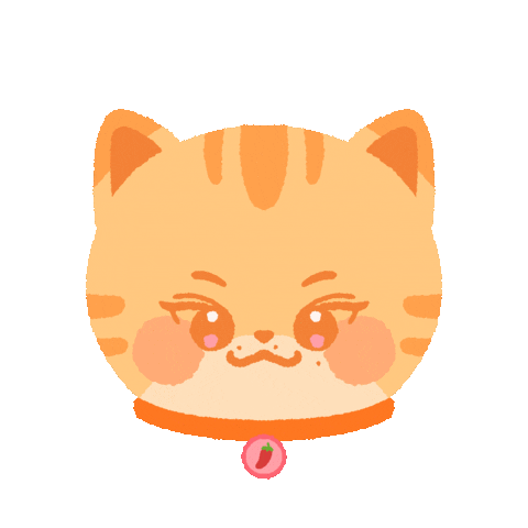 ndgallery giphyupload seventeen jun 세븐틴 Sticker