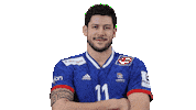 France Hand Sticker by EHF