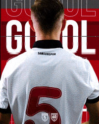 King Of The North GIF by SAMSUNSPOR