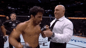 Mixed Martial Arts Sport GIF by UFC