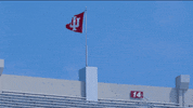 Indiana Hoosiers Iu GIF by Indiana University Bloomington