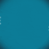 Workout Gym GIF by Qi2 Sports Nutrition