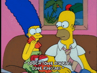Season 1 Episode 13 GIF by The Simpsons