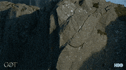 gameofthrones episode 5 game of thrones hbo season 7 GIF