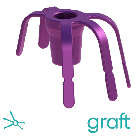 Spider Graft Sticker by Biotech Dental