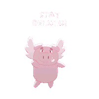 Flying Pig Vibes Sticker by PositivelyPigasus