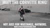 Corvette Mustang King GIF by TeamLethal