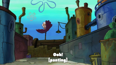season 9 lost in bikini bottom GIF by SpongeBob SquarePants