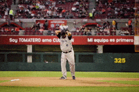 Sultanes De Monterrey Baseball GIF by Sultanes Oficial