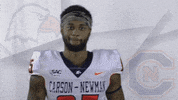 Carson Newman Football GIF by Carson-Newman Athletics