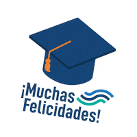 Mba Graduacion Sticker by Pacífico Universidad