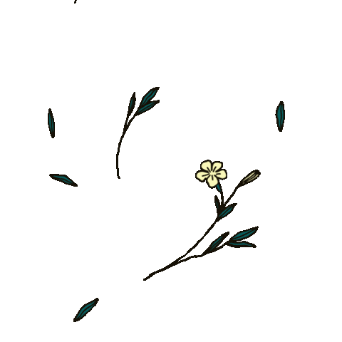 LeQuartierAnime giphyupload flowers 2danimation animatedillustration Sticker