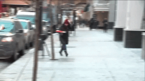 training day chicago GIF by WGN Morning News
