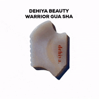 dehiya vegan clean organic plantbased GIF