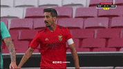 Sl Benfica Laughing GIF by Sport Lisboa e Benfica